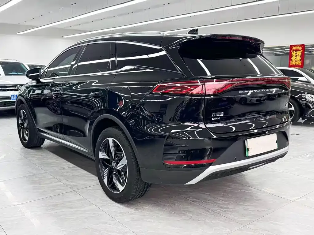 BYD Tang New Energy — фото 10