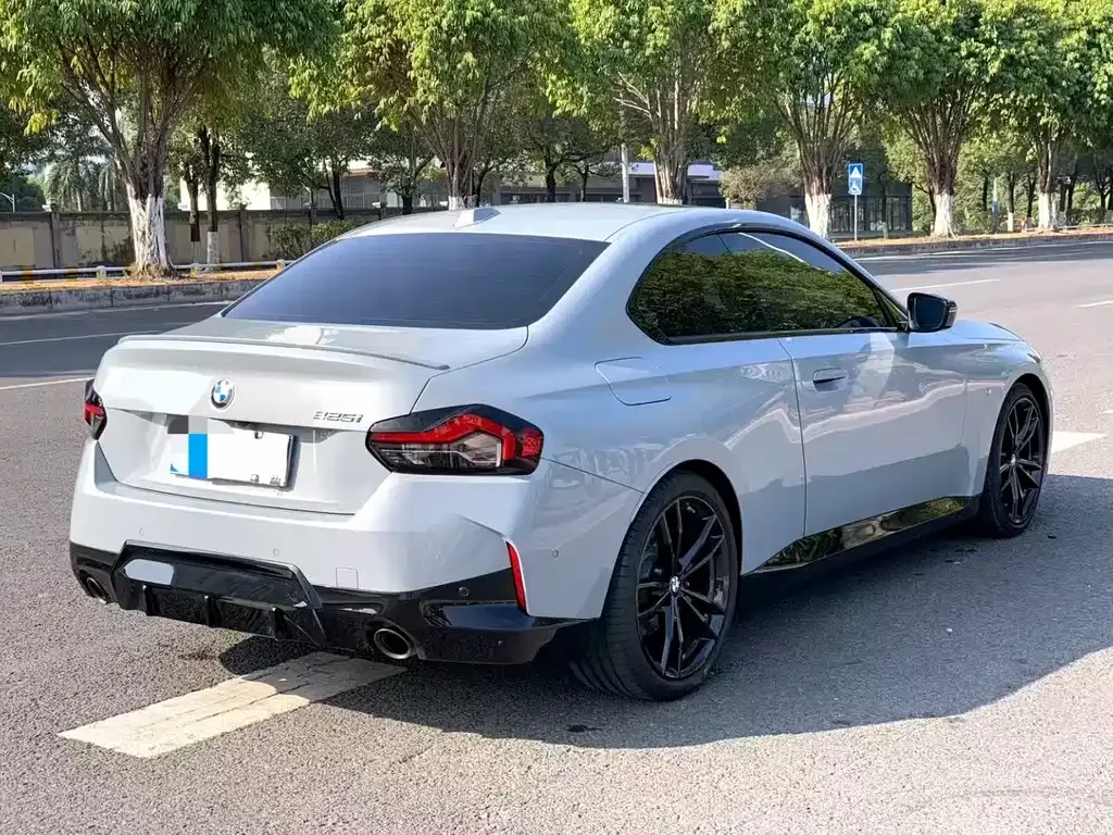 BMW 2 Series (Import) — фото 9