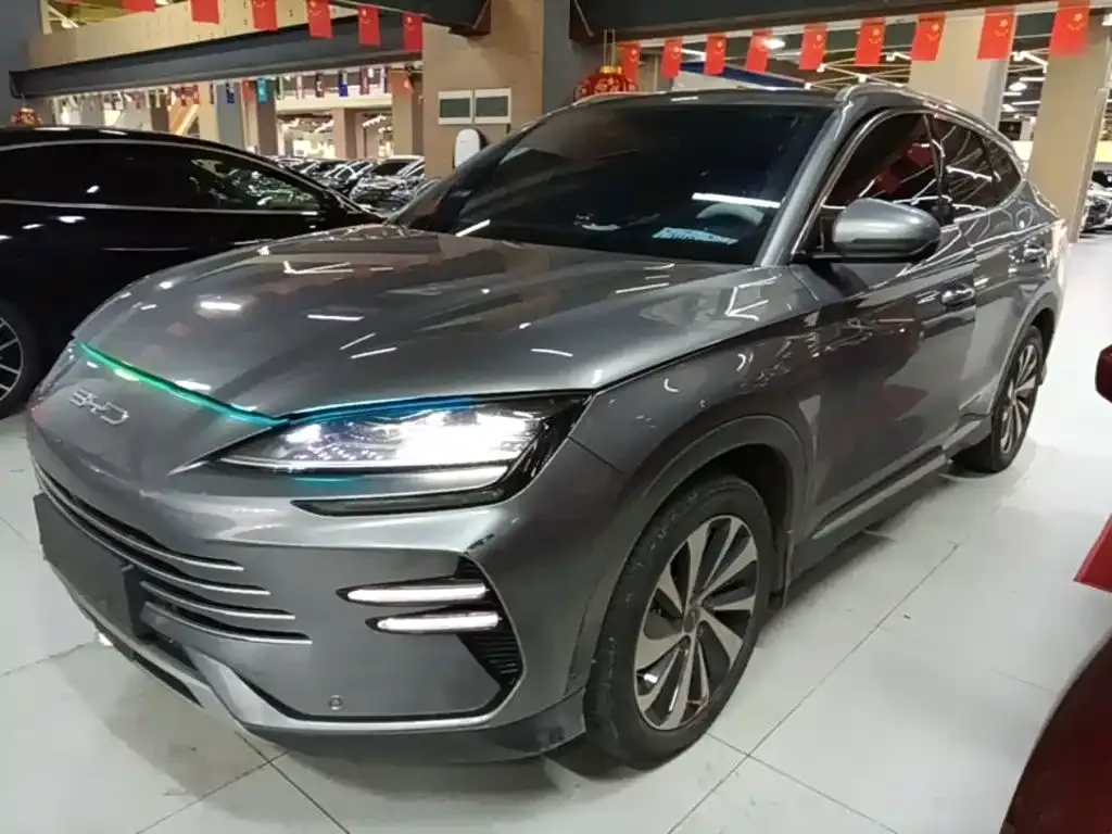 BYD PLUS New Energy — фото 2