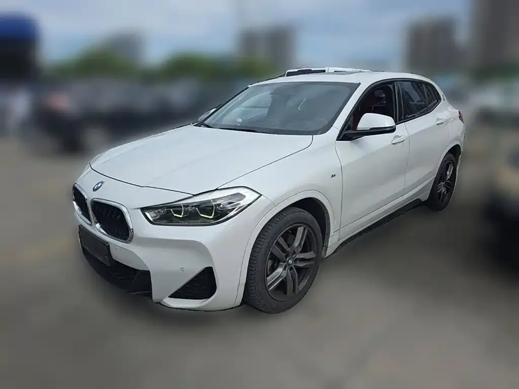 BMW X2 — фото 1