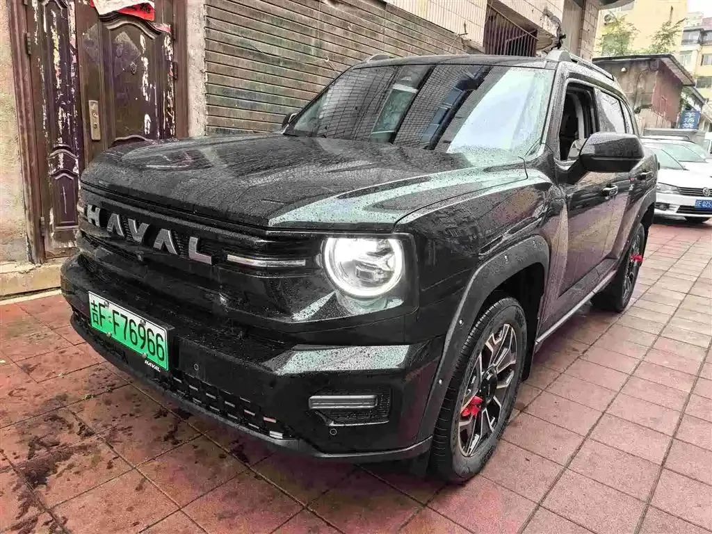Haval H7 (Big Dog Plus) New Energy — фото 9