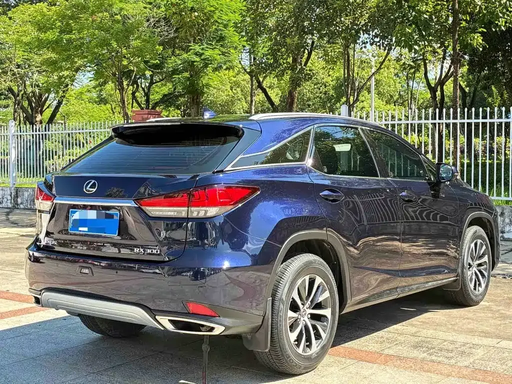 Lexus RX — фото 6