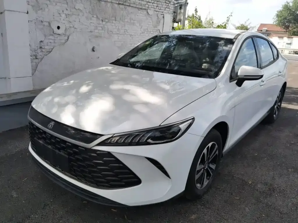 BYD Qin PLUS — фото 1
