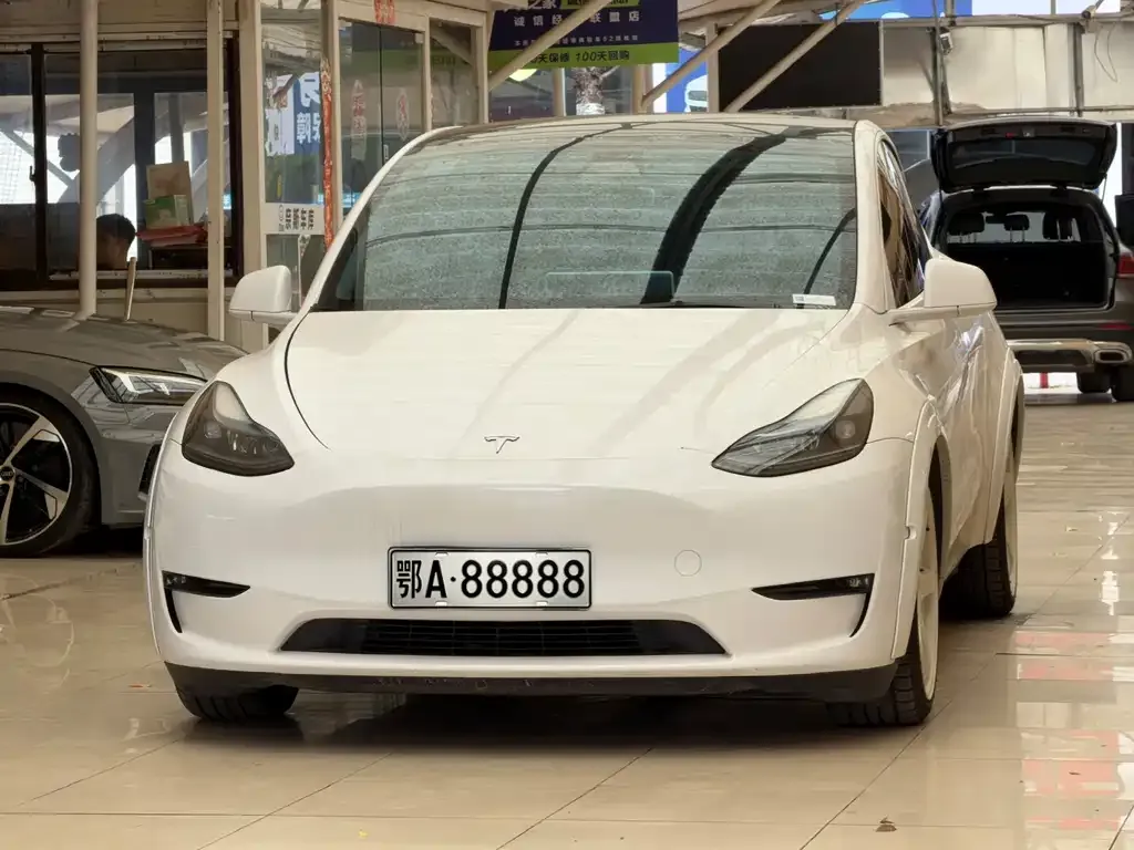 Tesla Model Y — фото 1
