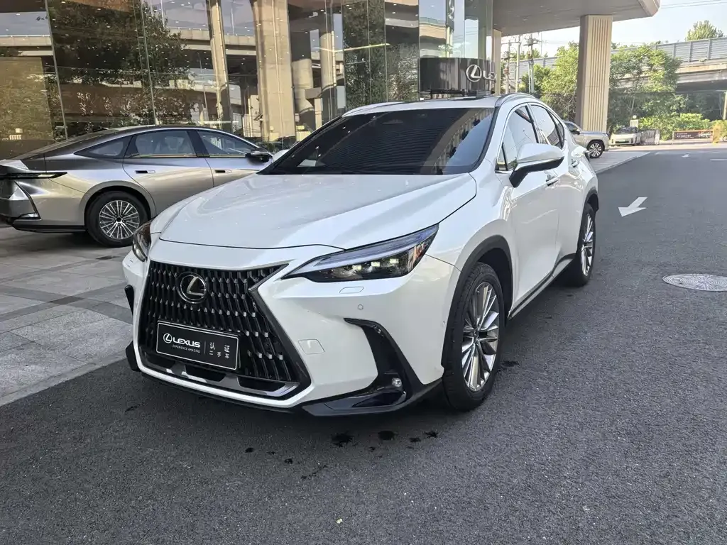 Lexus NX New Energy — фото 1