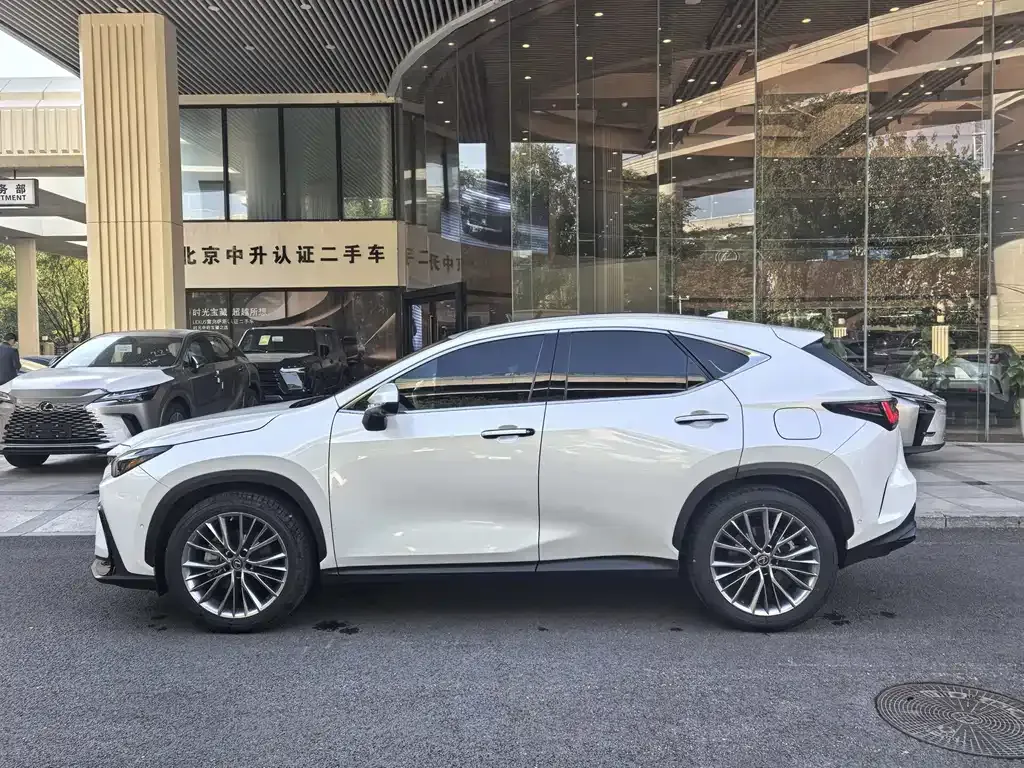 Lexus NX New Energy — фото 7