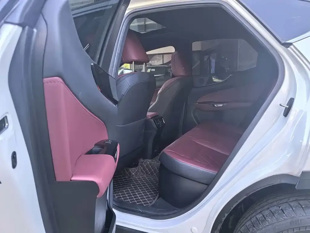 Lexus NX New Energy — фото 3