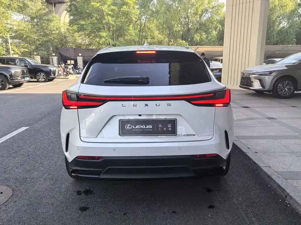 Lexus NX New Energy — фото 6