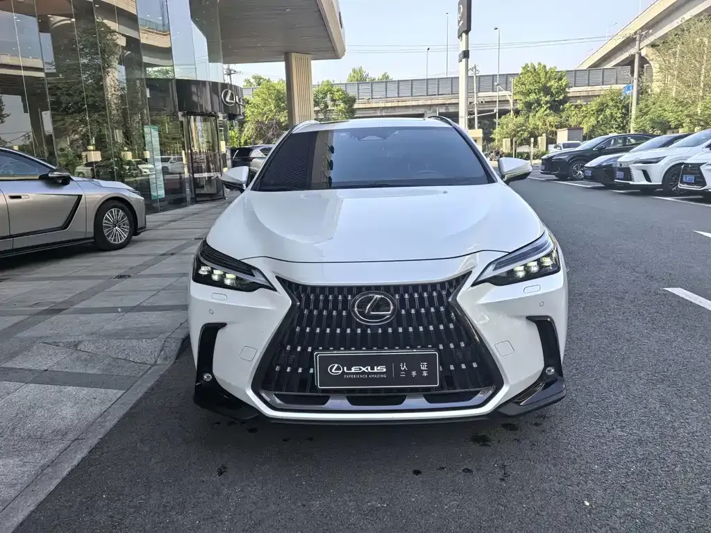 Lexus NX New Energy — фото 8