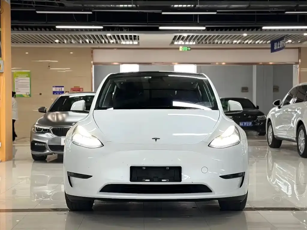 Tesla Model Y — фото 3