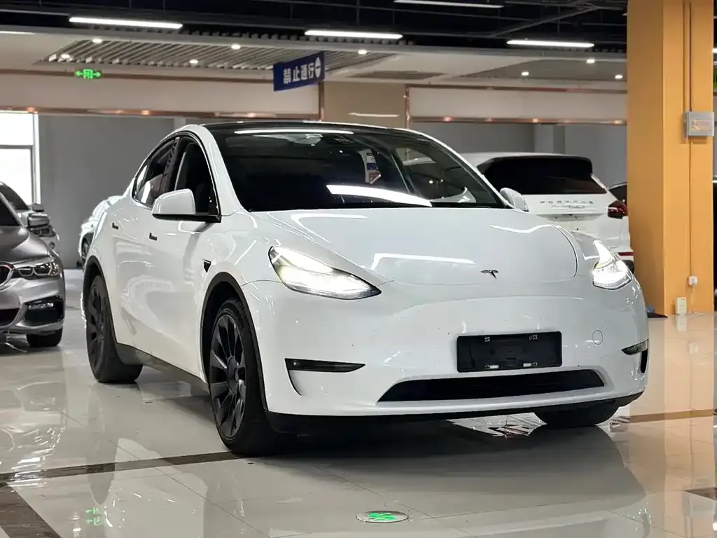 Tesla Model Y — фото 8
