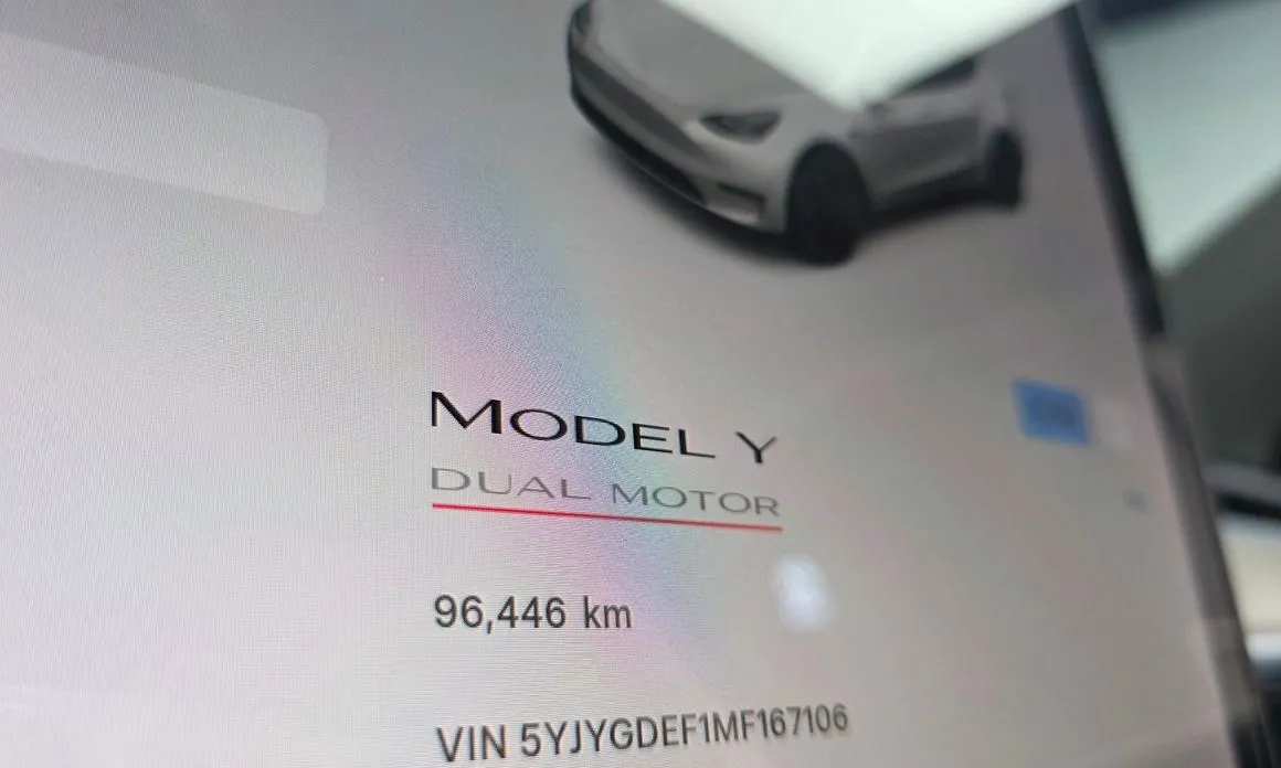 Tesla Model Y — фото 10