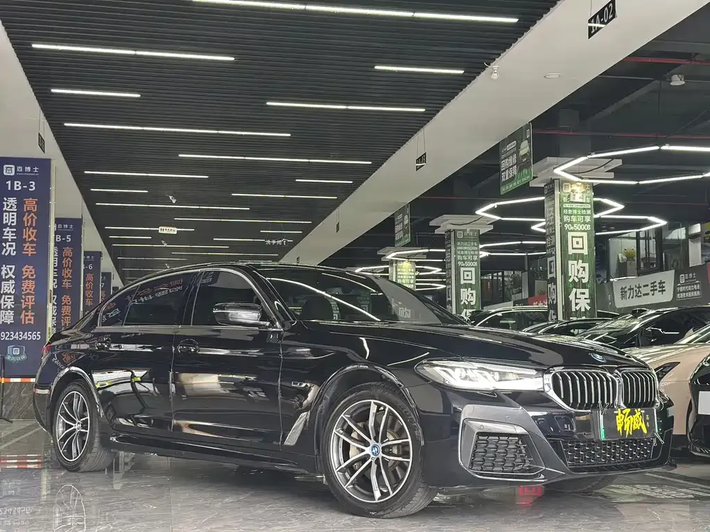 BMW 5 Series New Energy — фото 3