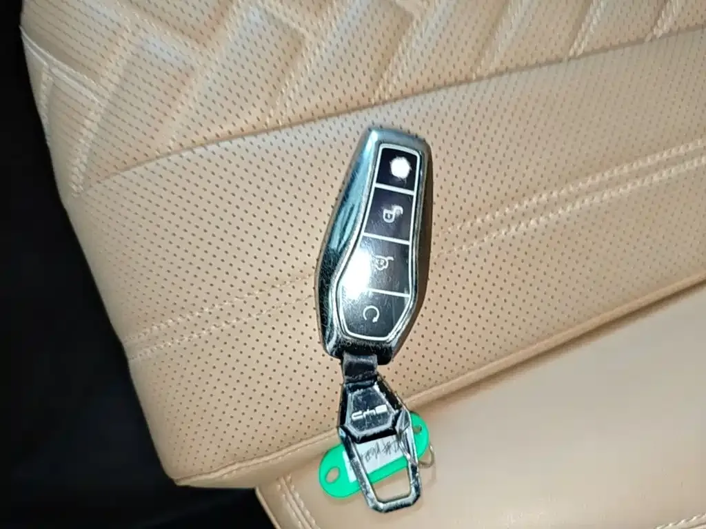 BYD L DM-i — фото 10