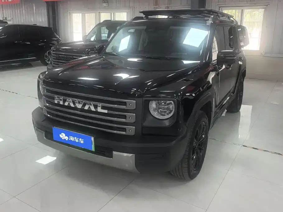 Haval Menglong New Energy — фото 1