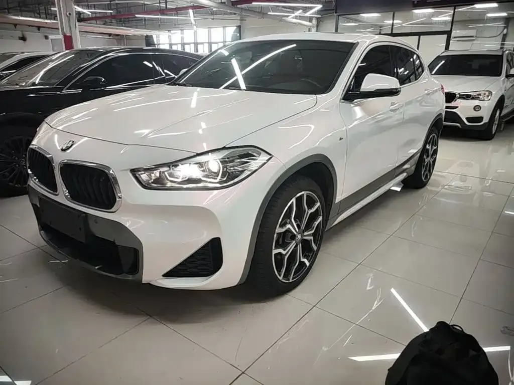 BMW X2 — фото 1