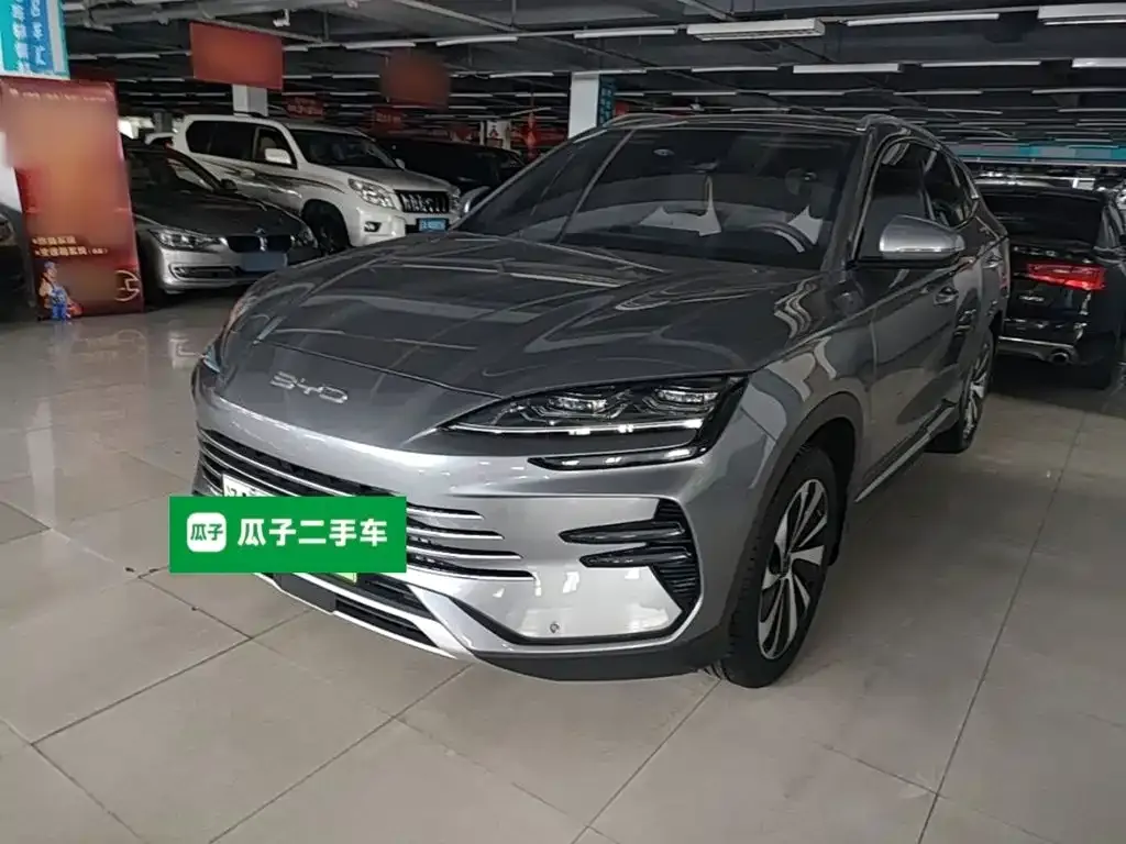 BYD PLUS New Energy — фото 9