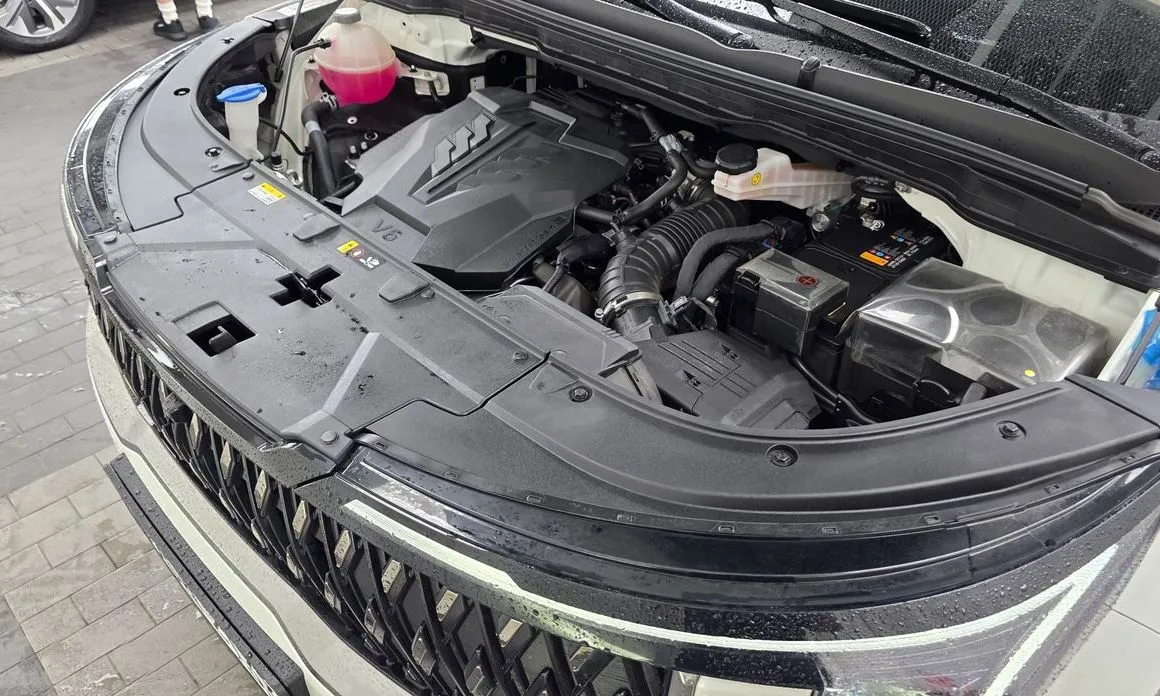 Kia Carnival — фото 10