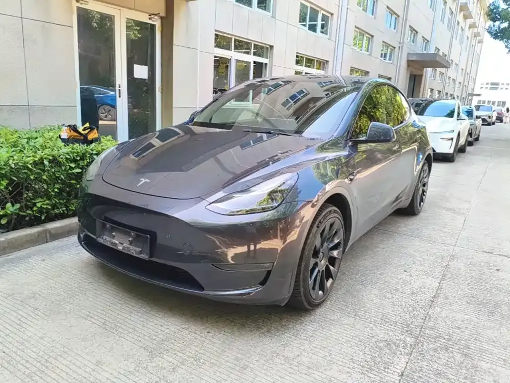 Tesla Model Y — фото 1