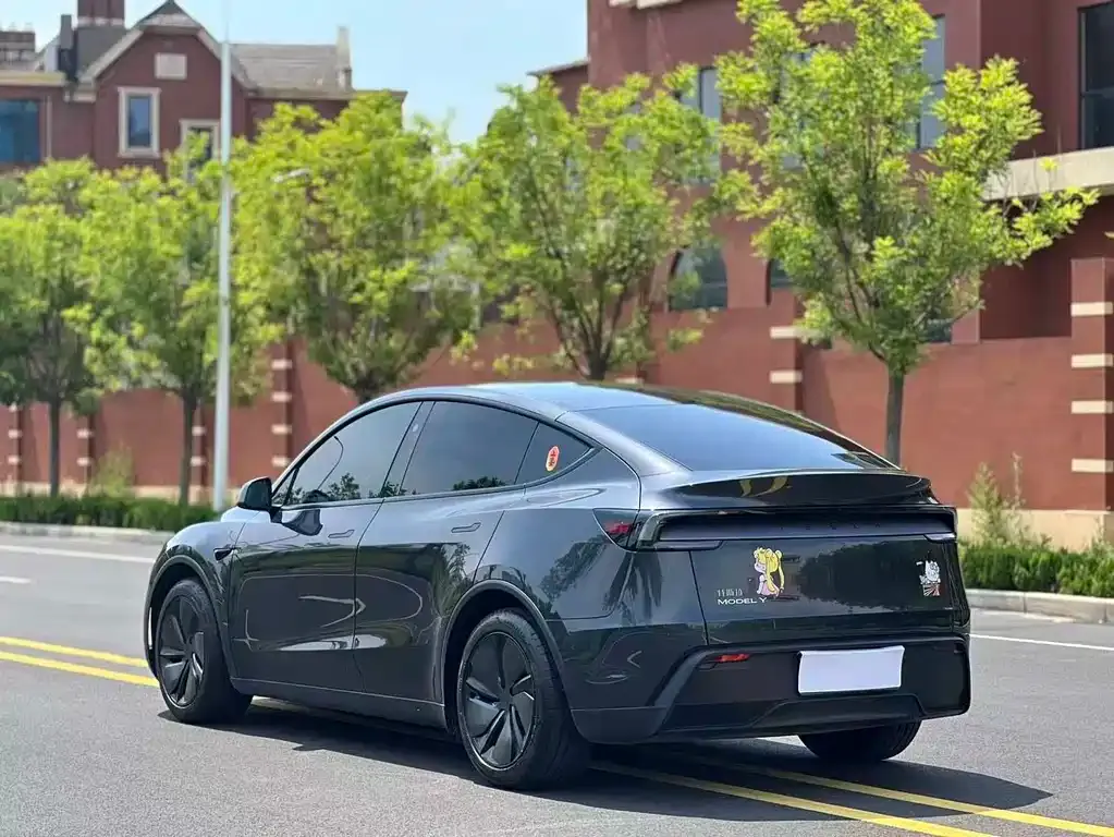 Tesla Model Y — фото 5