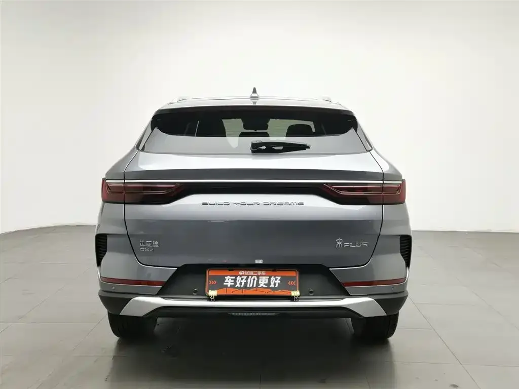 BYD PLUS New Energy — фото 2