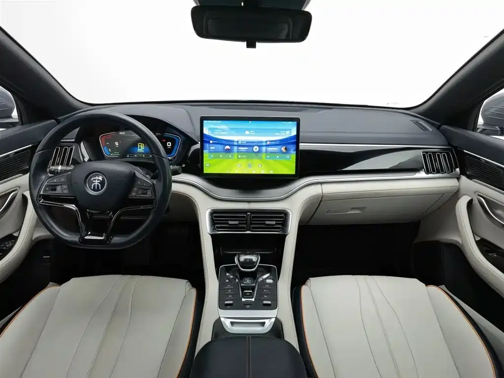 BYD PLUS New Energy — фото 10