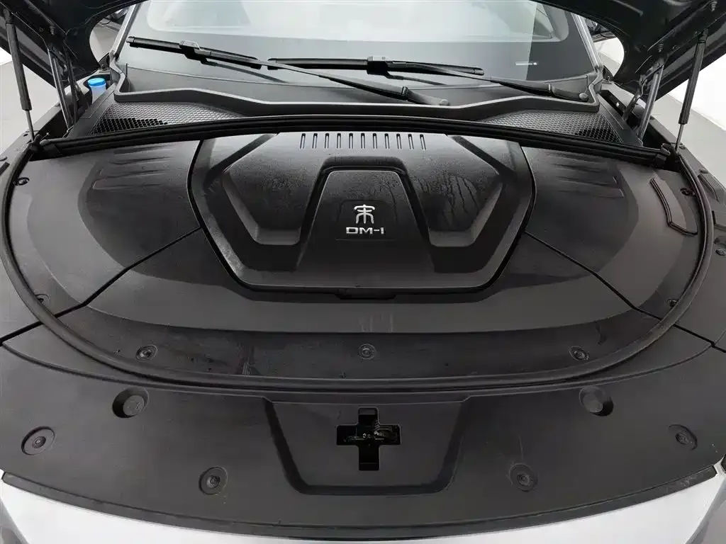 BYD PLUS New Energy — фото 4
