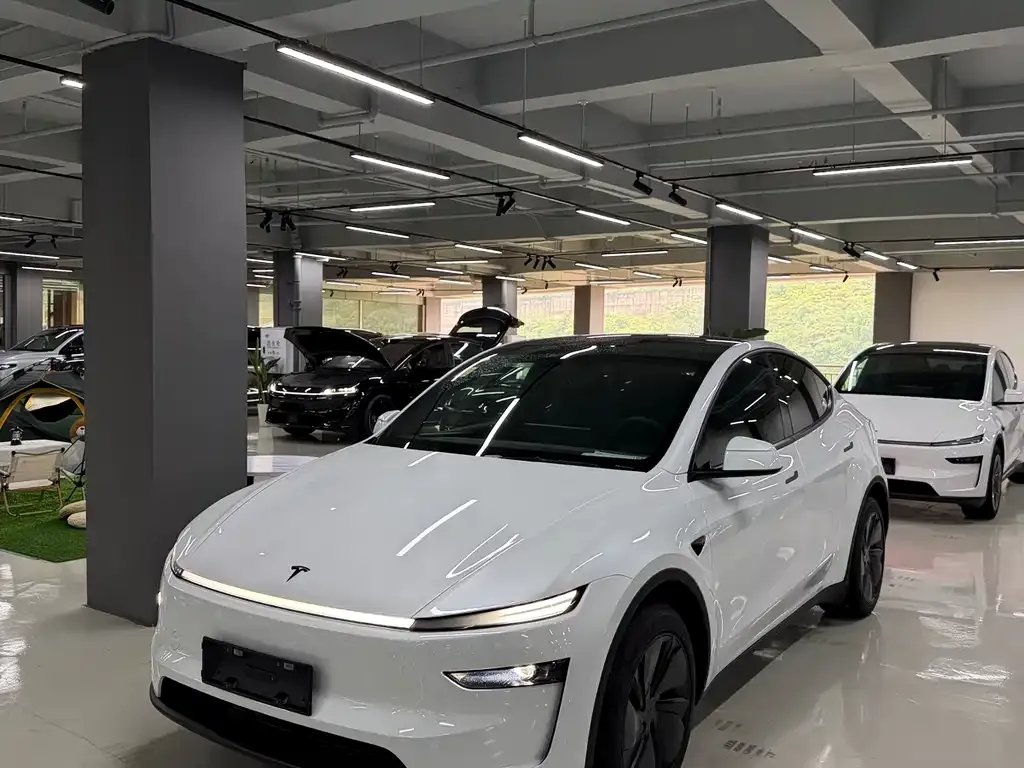 Tesla Model Y — фото 1