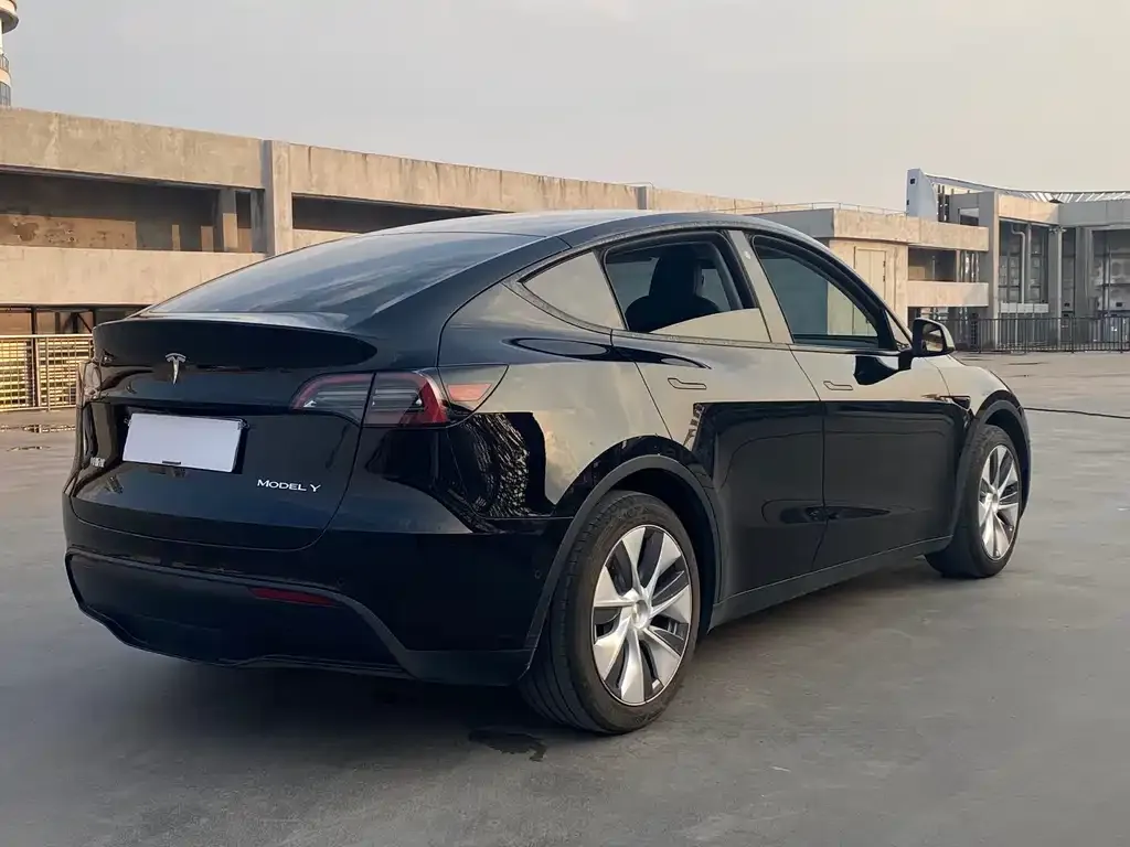 Tesla Model Y — фото 2