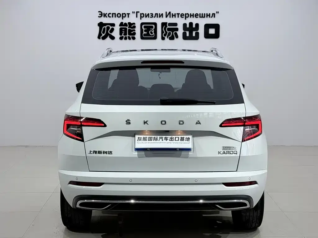 Skoda Karoq — фото 6