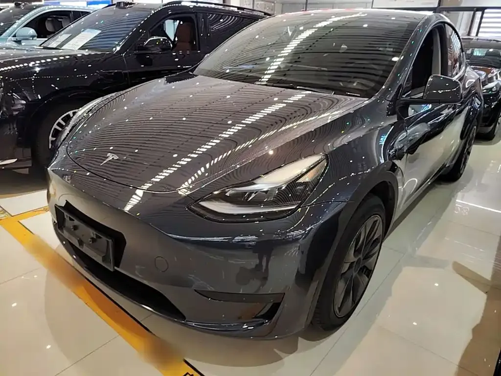 Tesla Model Y — фото 1
