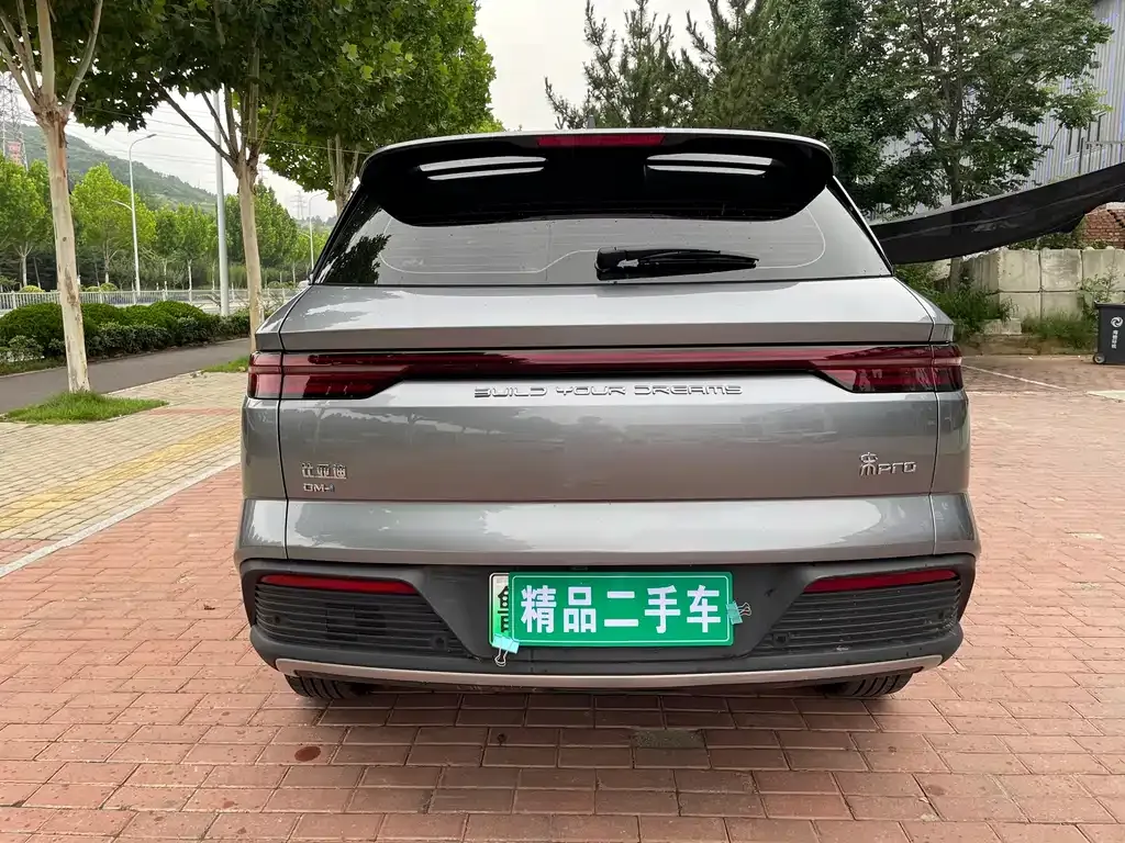 BYD Pro New Energy — фото 8
