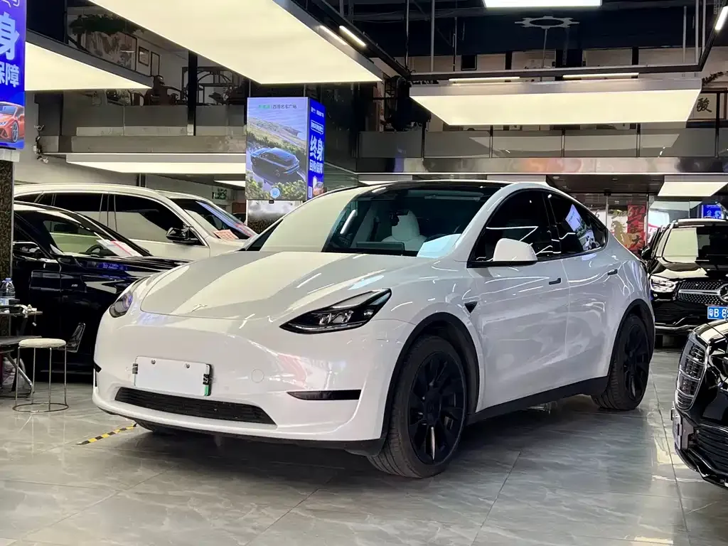 Tesla Model Y — фото 1