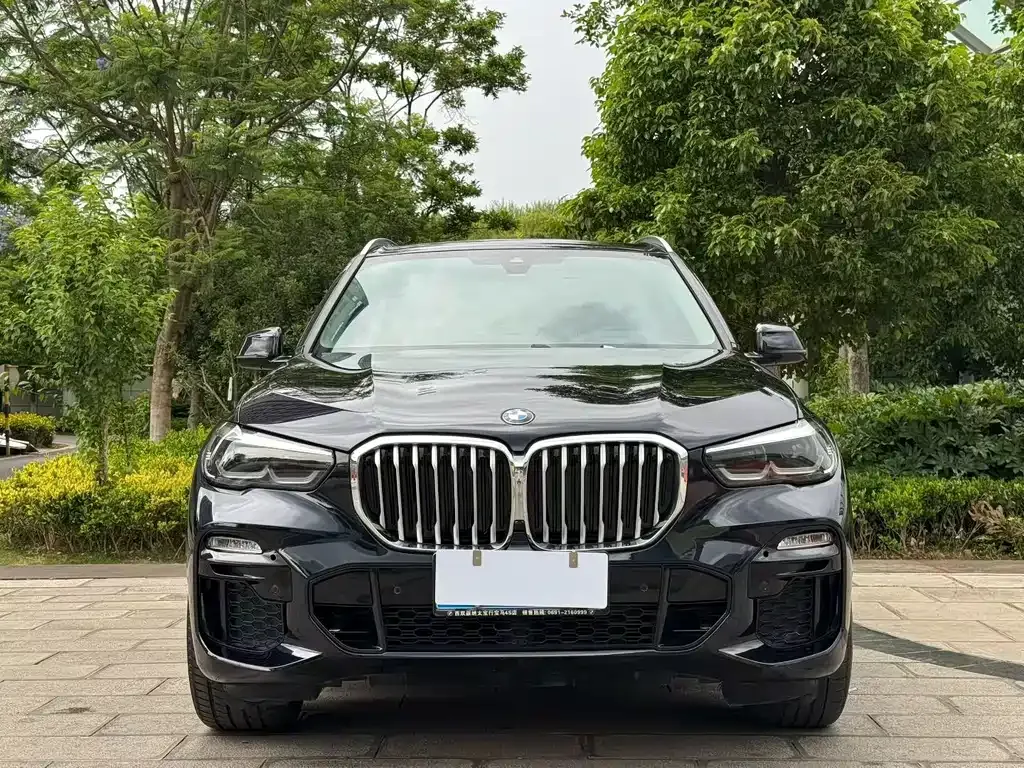 BMW X5 (Import) — фото 2
