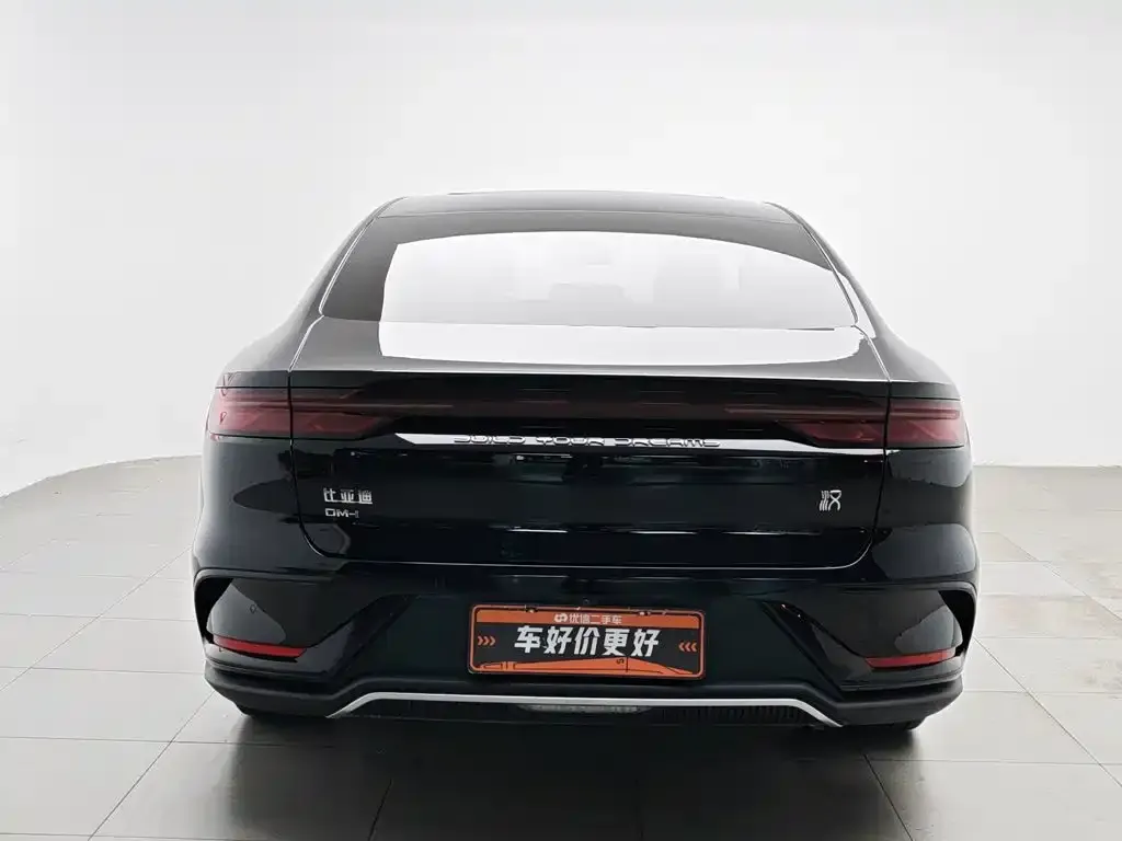 BYD Han — фото 10