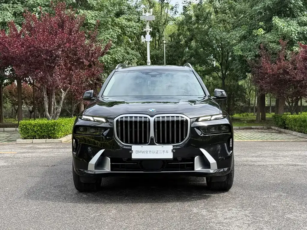 BMW X7 — фото 8