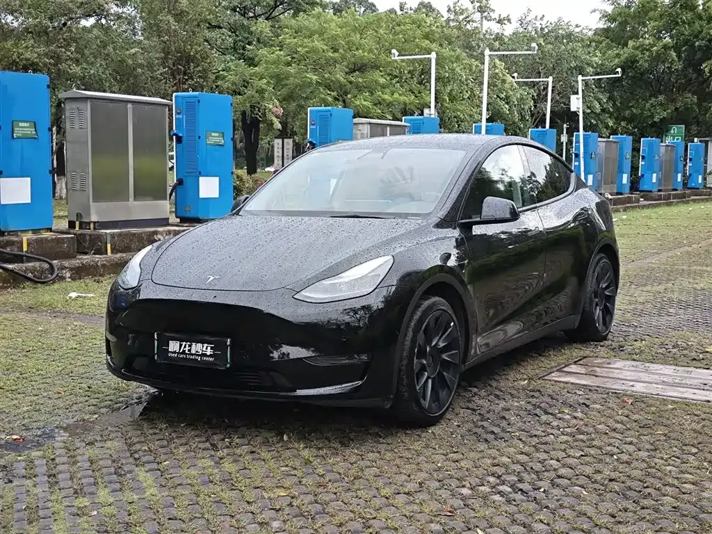 Tesla Model Y — фото 1