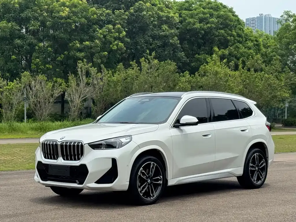BMW X1 — фото 1