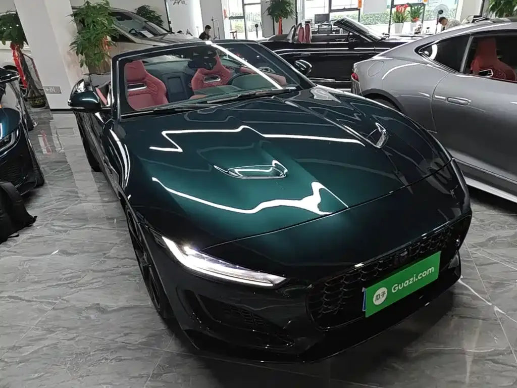 Jaguar F-TYPE — фото 9