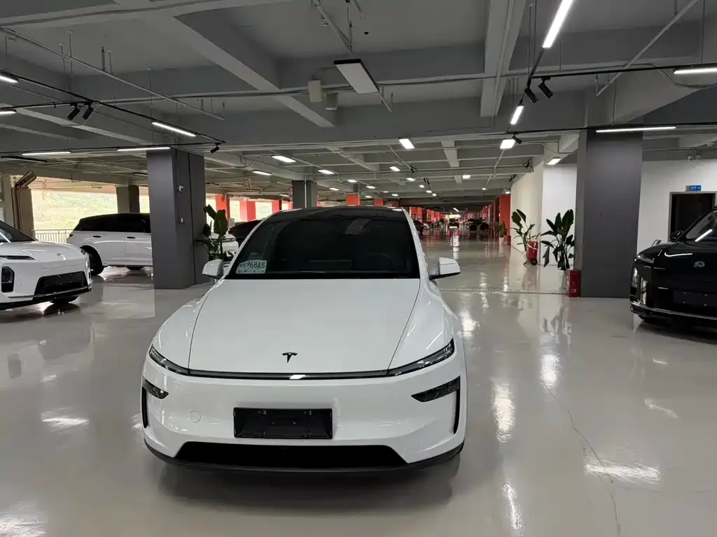 Tesla Model Y L — фото 8
