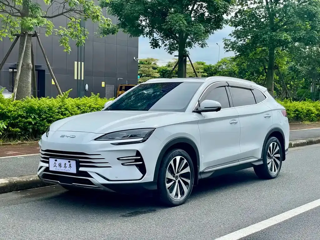 BYD PLUS New Energy — фото 1