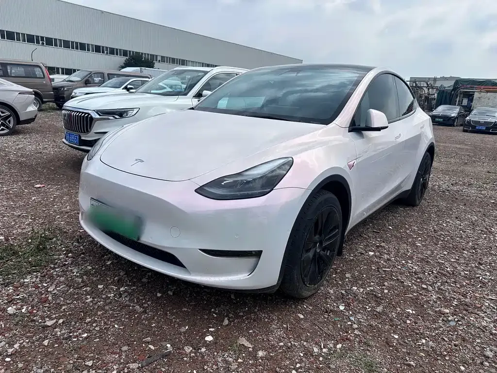 Tesla Model Y — фото 1