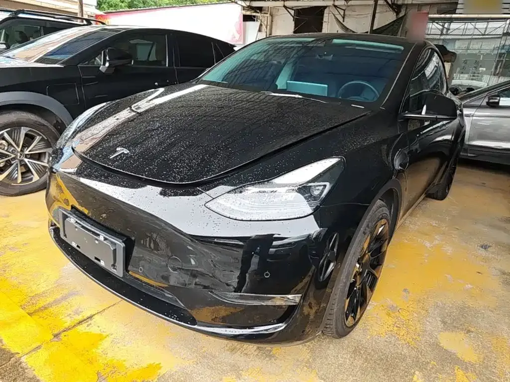 Tesla Model Y — фото 2