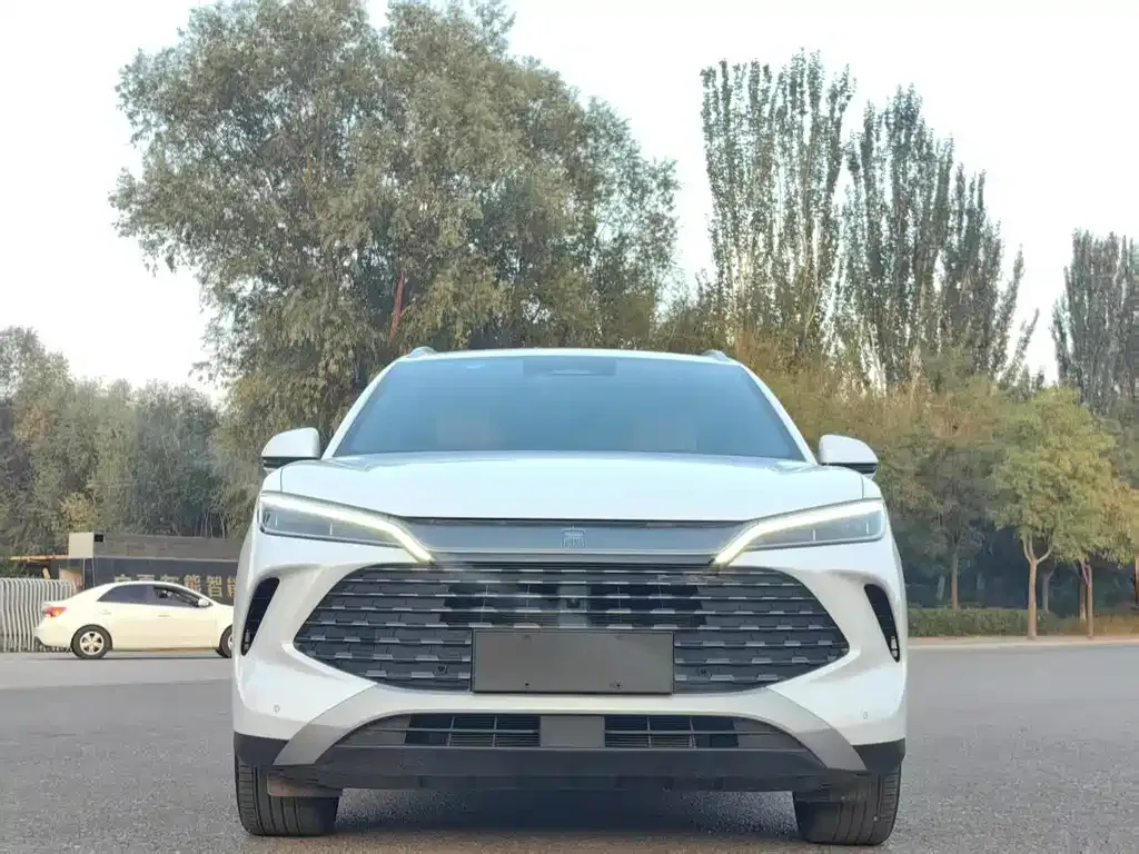 BYD L DM-i — фото 1