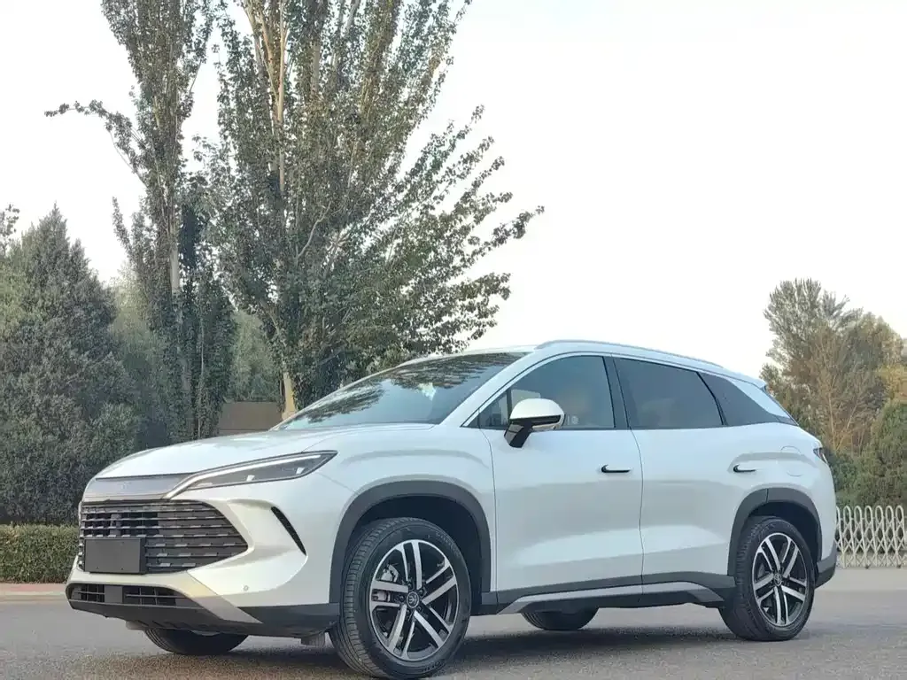 BYD L DM-i — фото 2