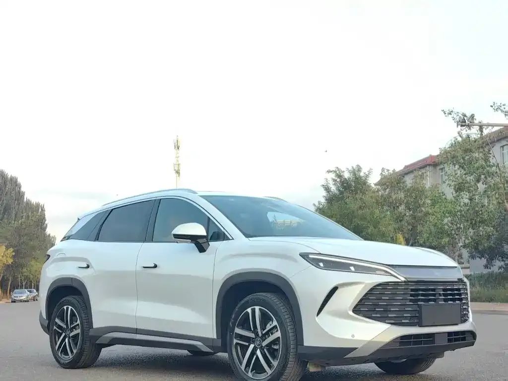 BYD L DM-i — фото 6