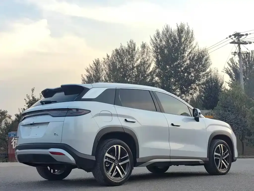 BYD L DM-i — фото 4