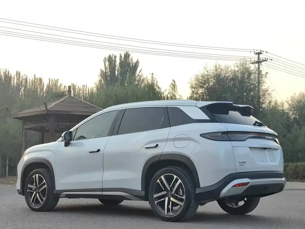 BYD L DM-i — фото 9
