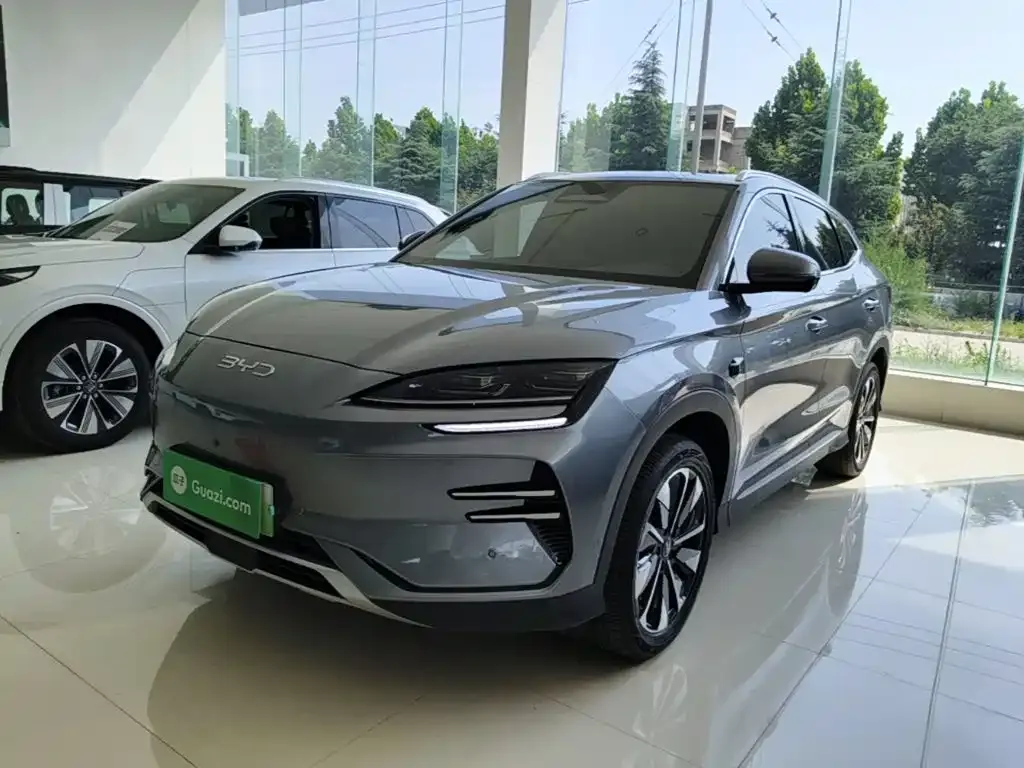 BYD PLUS New Energy — фото 1