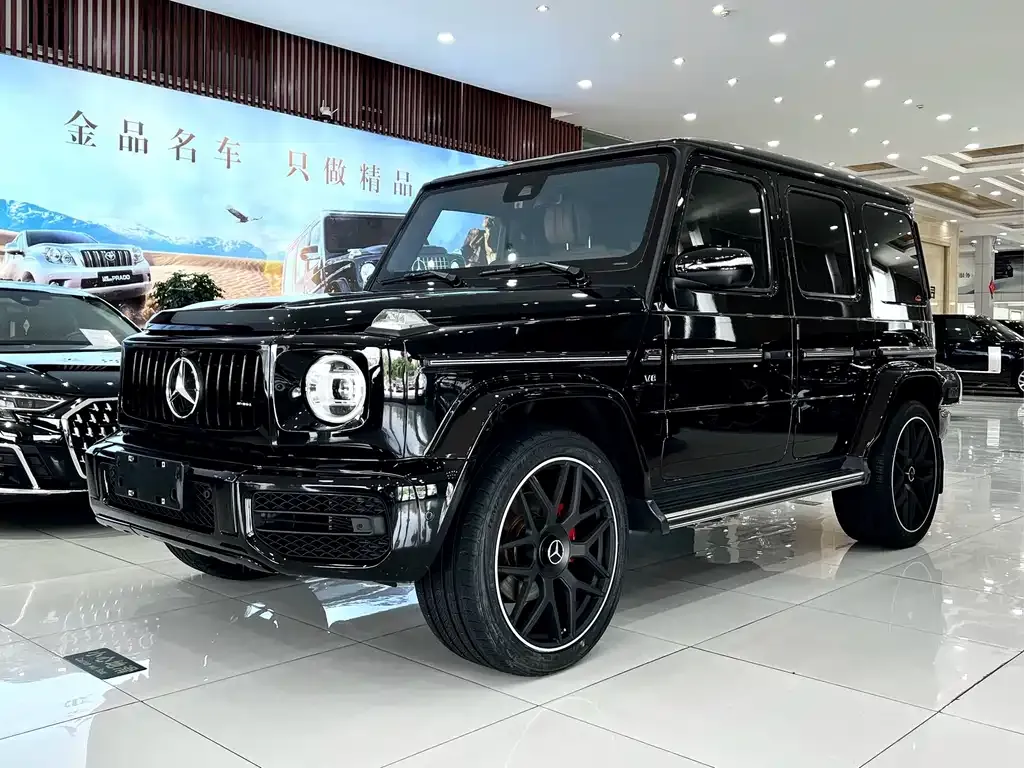 Mercedes-Benz G-Class — фото 6